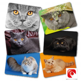 Pack Individuales Gatos